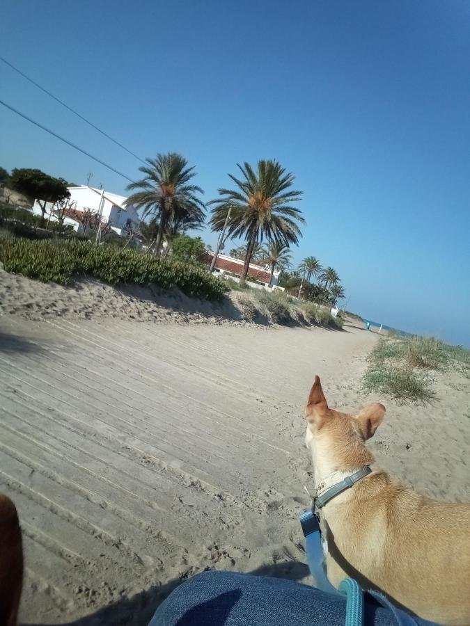 El Rincón De Denia - Paraiso Del Sol Exterior foto